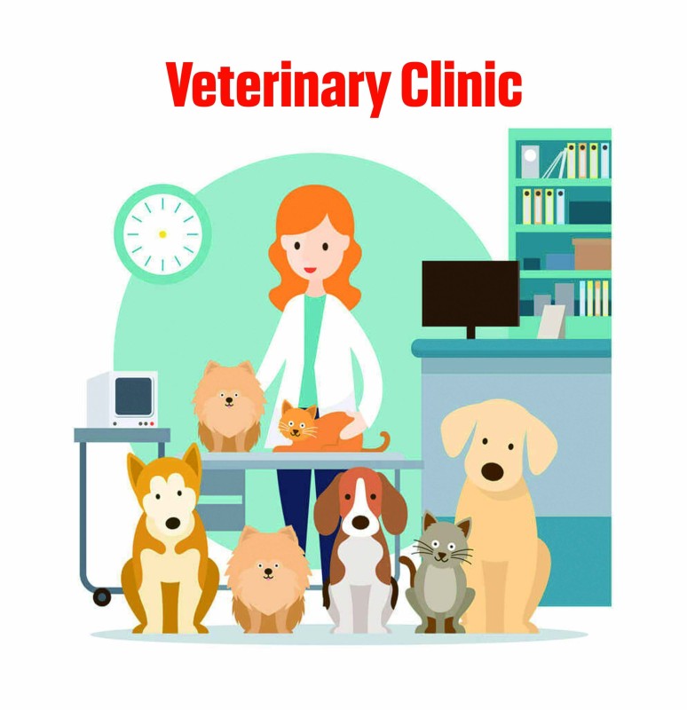 Pre-Diploma In Veterinary Medicine(VJTA)